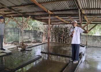 Darmono, Lulusan ITB yang Sukses Kembangkan Pertanian Sirkular Terintegrasi, Raup Rp30 Juta Per Hari