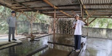 Darmono, Lulusan ITB yang Sukses Kembangkan Pertanian Sirkular Terintegrasi, Raup Rp30 Juta Per Hari