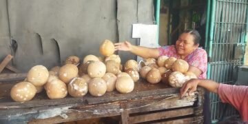 Ekspor Meningkat, Harga Kelapa Meroket di Pasaran Domestik