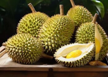 Festival Durian BEDAS 2025 Siap Digelar: Pecinta Durian Wajib Merapat!