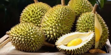 Festival Durian BEDAS 2025 Siap Digelar: Pecinta Durian Wajib Merapat!
