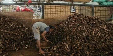 Dari Buruh Pasar ke Sultan Singkong: Shodiq Raup Omzet Miliaran dari Jualan Kuping ke Kuping