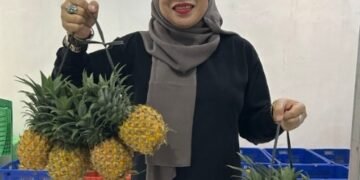 NanasQu: Dari Desa ke Pasar Dunia, Sukses Ekspor dengan Libatkan 900 Petani Lokal