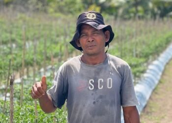 Petani Hortikultura di Kao Teluk Sukses Sekolahkan Anak Berkat Dukungan NHM