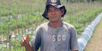 Petani Hortikultura di Kao Teluk Sukses Sekolahkan Anak Berkat Dukungan NHM