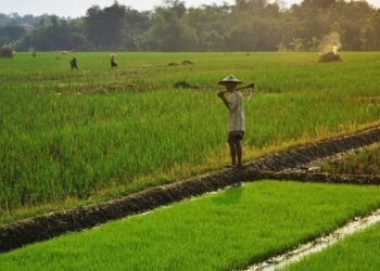Risiko Iklim Ancam Investasi Pangan, Kerugian Global Bisa Sentuh 38 Triliun Dolar AS